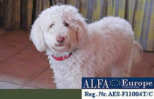 Sunny als jung erwachsene Dame